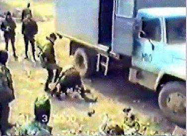 "Amnesty"10  in Chechnya