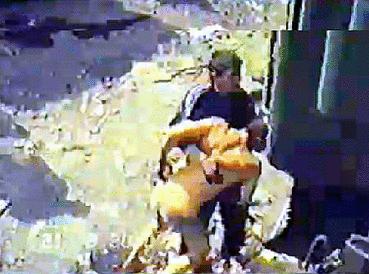 "Amnesty"11  in Chechnya