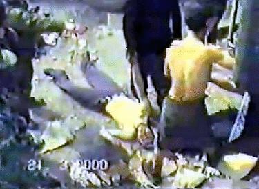 "Amnesty"12  in Chechnya