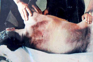 torture in Chechnya