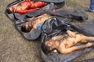 organ ablation in Chechnya