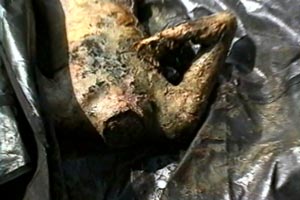 beheaded in mass graves