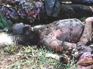 mass burials Chechnya